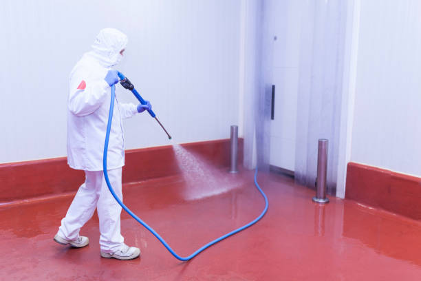 Best Graffiti Removal  in Elmwood Park, NJ