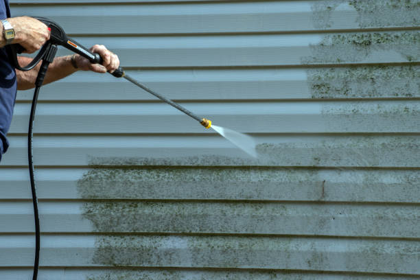 Best Gutter Cleaning  in Elmwood Park, NJ