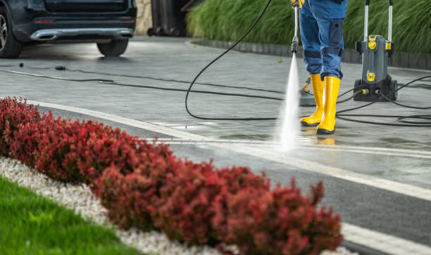 Best Dumpster Area Cleaning  in Elmwood Park, NJ